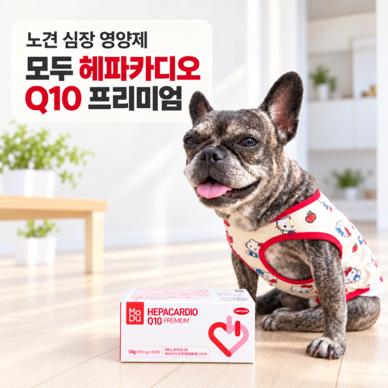 노견 심장 영양제 헤파카디오 | 모두헤파카디오 Q10 후기