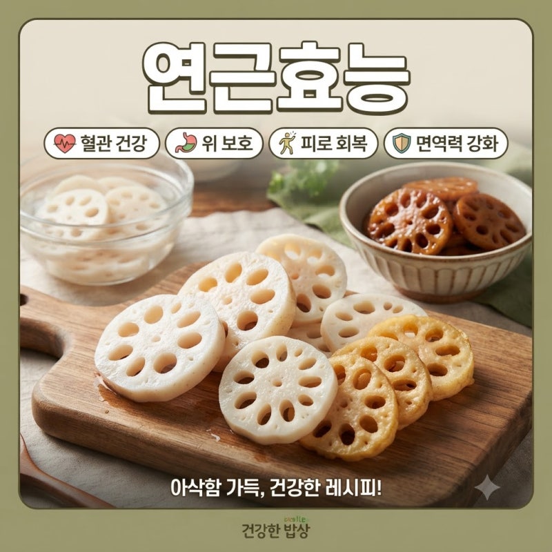 연근 효능부터 제철 손질법 레시피까지 총정리