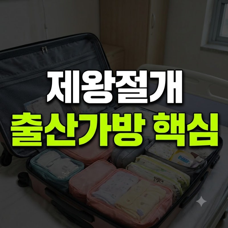 출산가방 리스트 다이소 제왕절개 병원 총정리(+내돈내산 조리원 수유 제왕 입원 생리대 준....