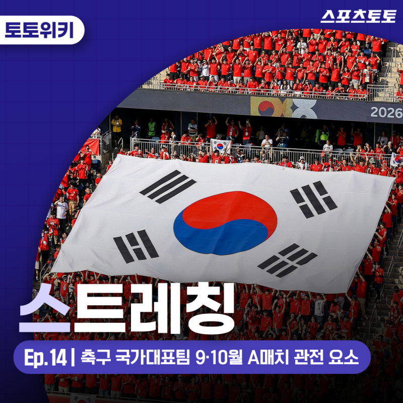 [스트레칭] 축구 국가대표팀 친선경기 9·10월 A매치 관전 포인트