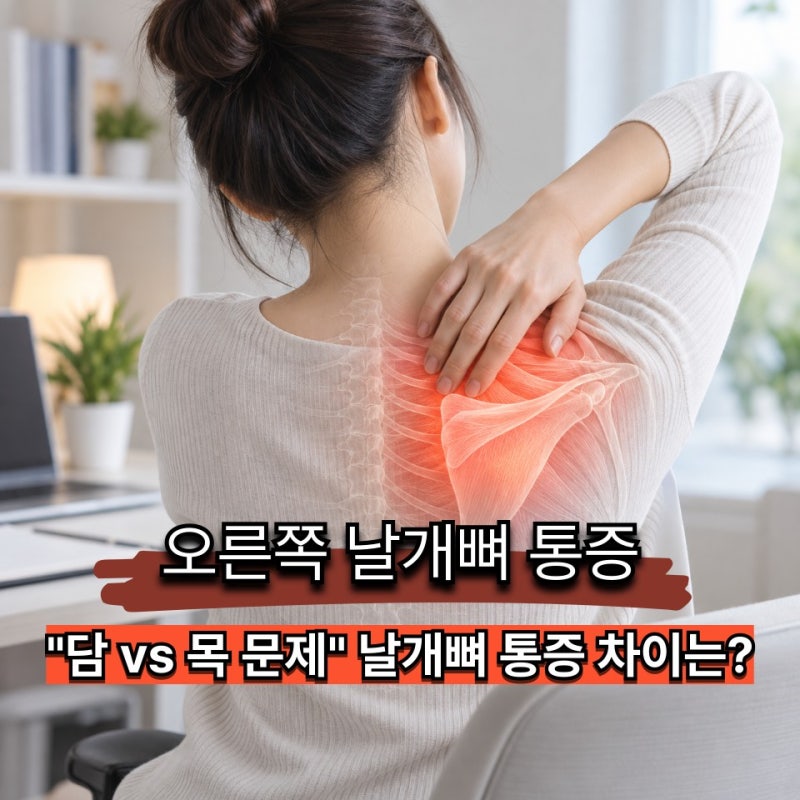 오른쪽 날개뼈 통증 계속된다면? 아픈 곳 누르기 전 살펴볼 "3가지"