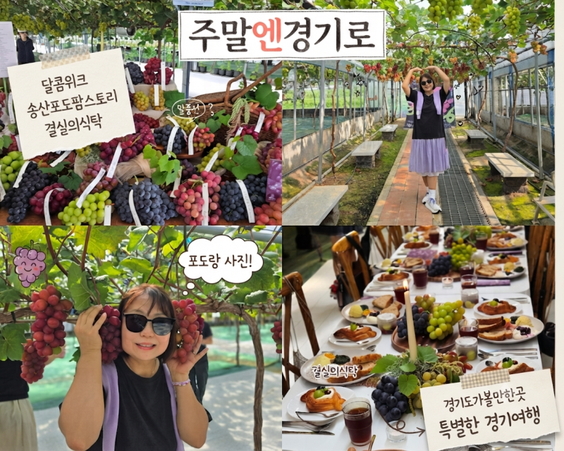 주말엔 경기로 경기도 화성 가볼만한곳 달콤위크 송산포도팜스토리