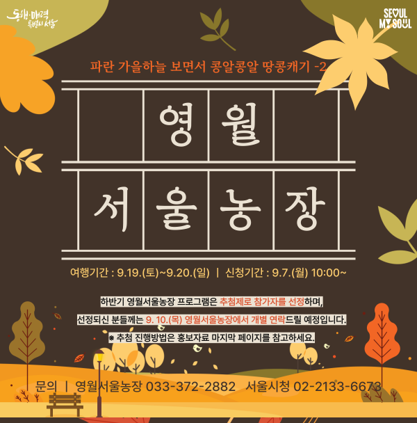 영월 아이와 가볼만한곳 영월서울농장 땅콩캐기 1박2일 가을 체험 프로그램 신청 안내
