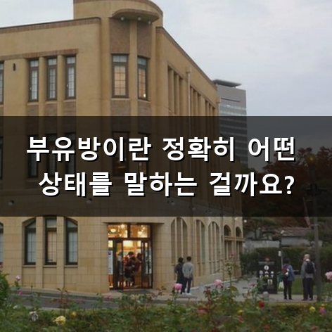 부유방 제거 수술은 아프지 않을까? 회복 기간과 흉터 걱정 덜어내는 방법