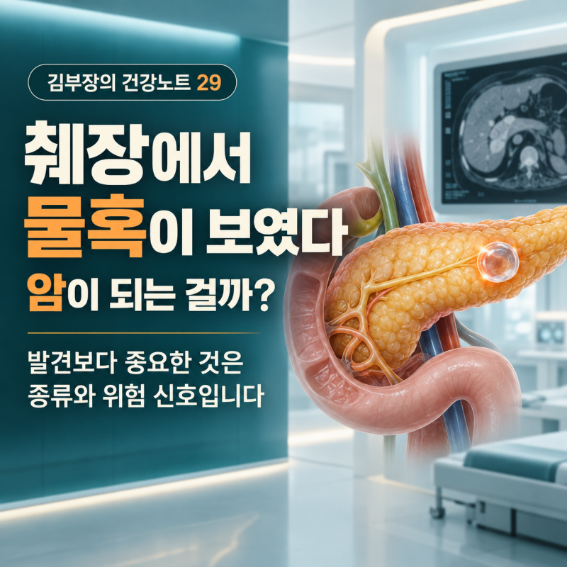 췌장에서 물혹이 보였다. 암이 되는 걸까?