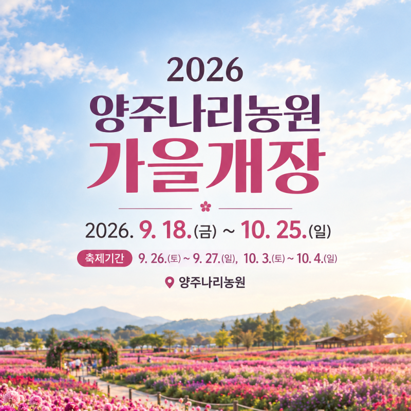 2026 양주 나리농원 천일홍축제｜9월 18일 개장, 가을 꽃구경 여기 어때?
