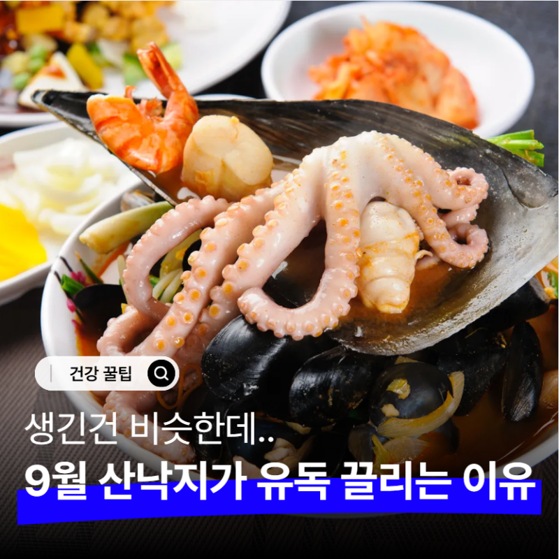 9월 제철 산낙지 효능, 쭈꾸미 문어랑 비슷하다 생각했는데.. 의외의 강점