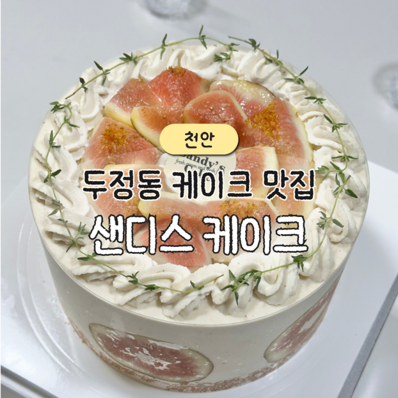 천안 무화과 케이크 샌디스케이크 생일 기념일 주문제작 추천
