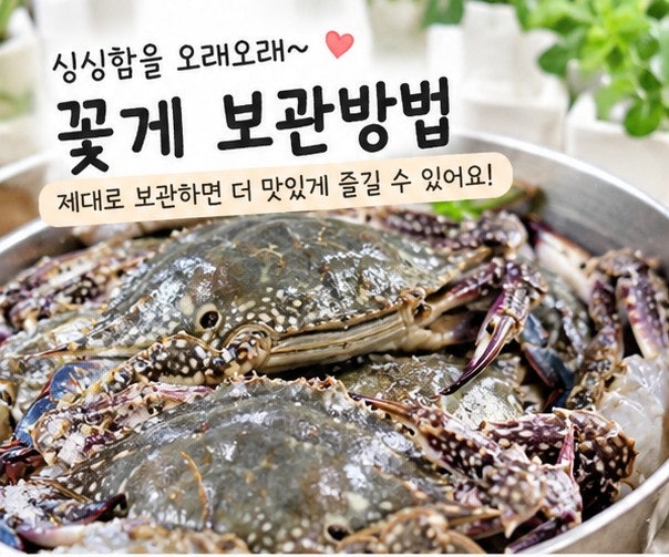 꽃게 보관방법 싱싱하게 오래 냉장 냉동 보관 제대로 하는 꿀팁