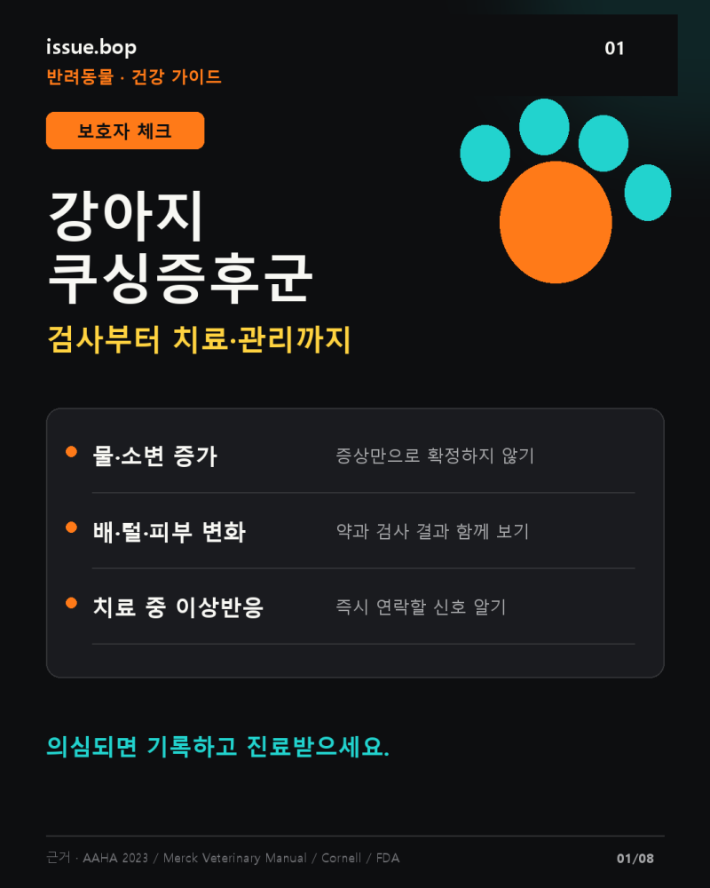 강아지 쿠싱증후군 증상, 검사부터 치료·관리까지 한눈에