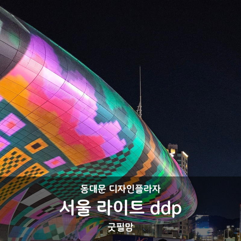 [서울라이트 동대문ddp] 서울여행 가볼만한곳 동대문 디자인플라자 미디어아트