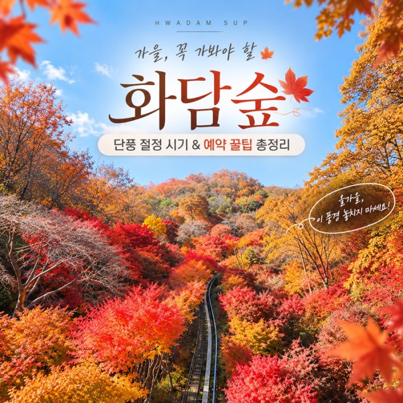 "화담숲 단풍 절정은 10월 말?11월초?" 찐방문후기로 알아보는 단풍시기 꿀팁 예약