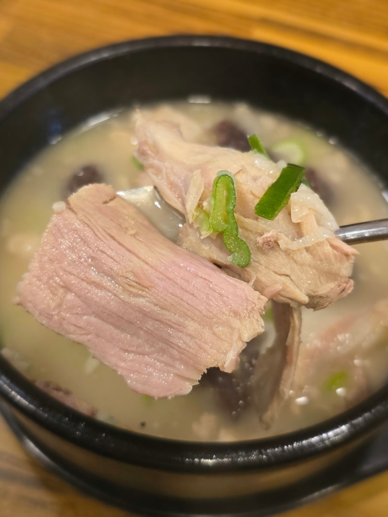 해운대국밥맛집 부모님도 만족하신 3대 전통 현지인 단골집 해운대 오복돼지국밥