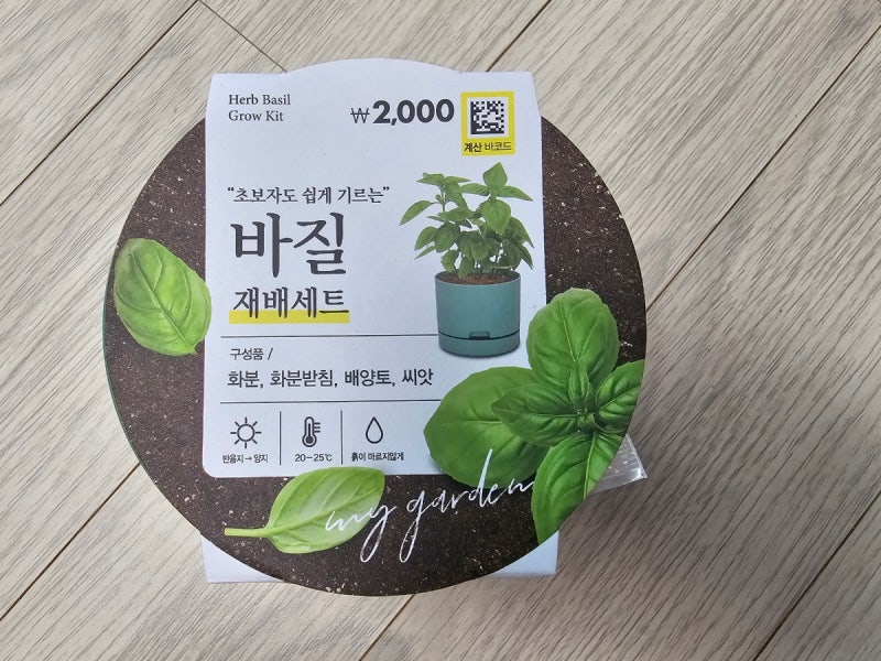다이소 바질 재배세트 키우기! 다이소 식물 키우기로 시작하는 홈가드닝 솔직 후기