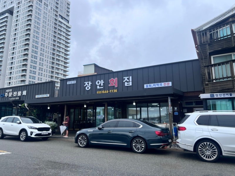 강릉 물회 맛집 장안횟집｜풍자 또간집 나온 사천진 물가자미 물회