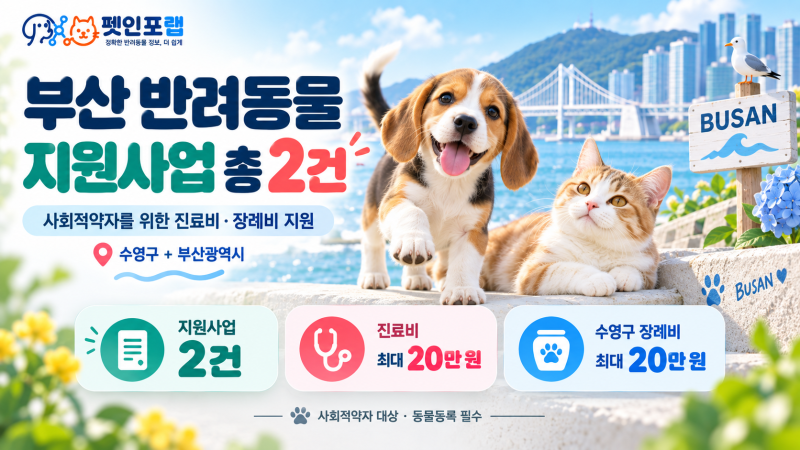부산 반려동물 등록비 지원 안내