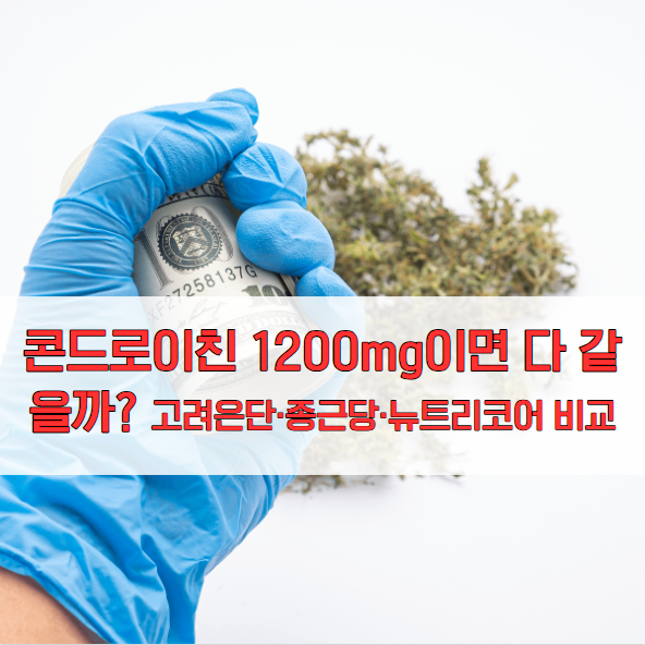 콘드로이친 1200mg이면 다 같을까? 고려은단·종근당·뉴트리코어 비교