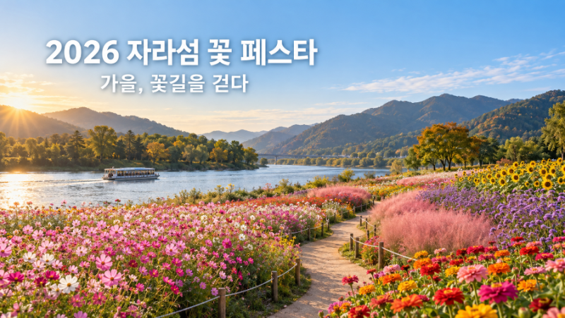 2026 가평 자라섬 꽃 페스타 가을 |일정,입장료,주차,관람코스 안내