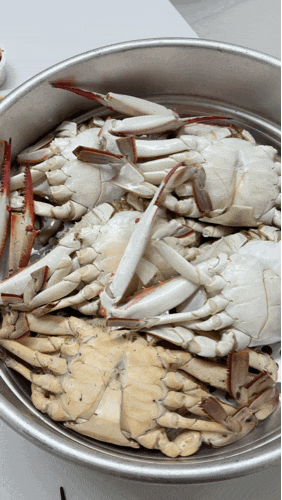 꽃게찜 찌는법 시간 꽃게 손질법노량진 수산시장 꽃게 시세 너무맛있으니까 제발 제철꽃게....