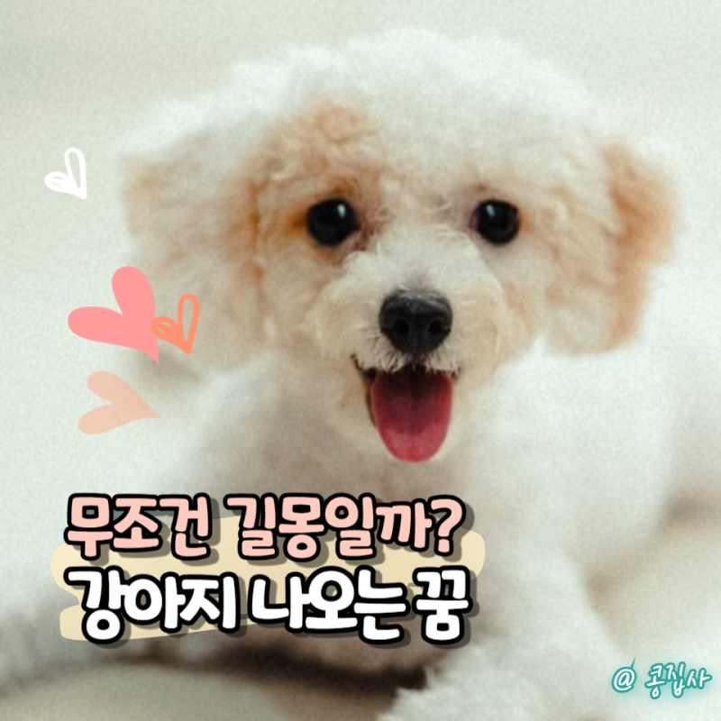 강아지 나오는 꿈, 무조건 좋은 꿈일까? 상황별 꿈해몽 총정리