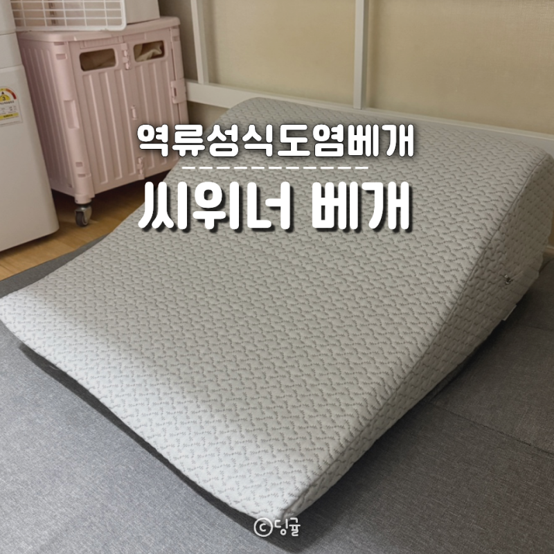 씨위너 역류성식도염베개 부모님 효도 선물 추천 상체 쿠션 후기