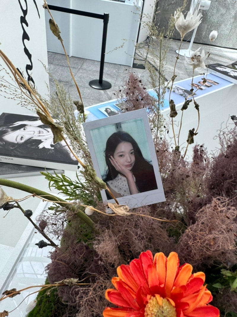 IVE An Yu-jin & Jang Won-young 'An-Youngz' Exhibition: Location, Precautions, and Review