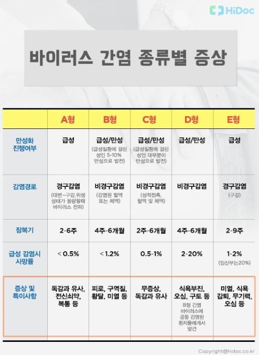 간염 - B형간염 증상, 급성간염