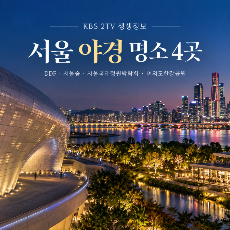 4 Seoul Night View Hotspots: From DDP to Seoul Forest and Hangang Park