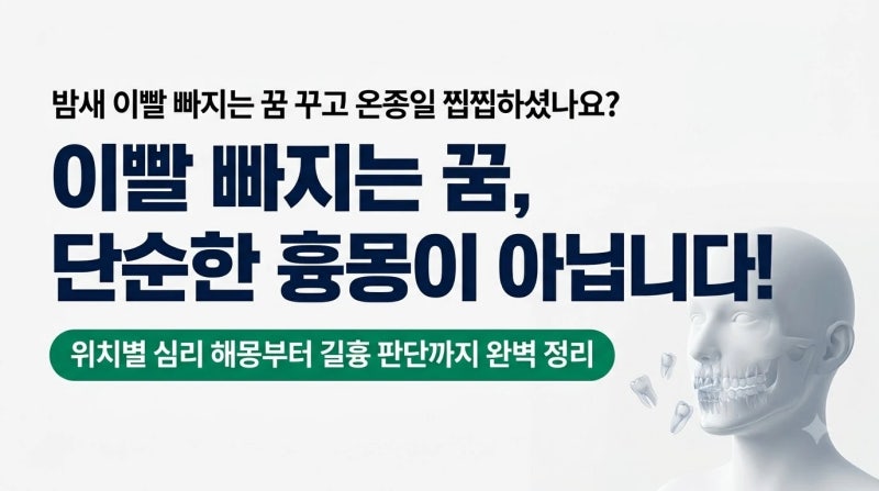 이빨 빠지는 꿈 해몽 단순한 흉몽이 아닐 수도 있습니다