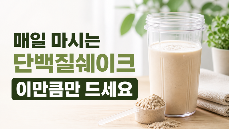 단백질쉐이크 매일 마셔도 괜찮을까 하루 섭취량과 성분 기준