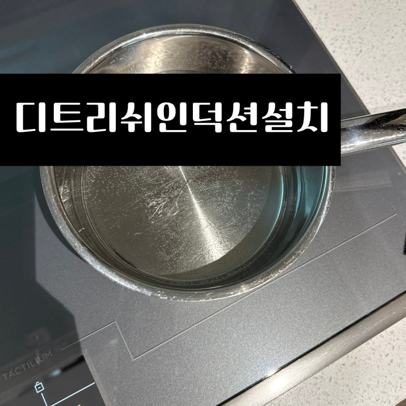 디트리쉬인덕션설치 방법 및 시공 비용