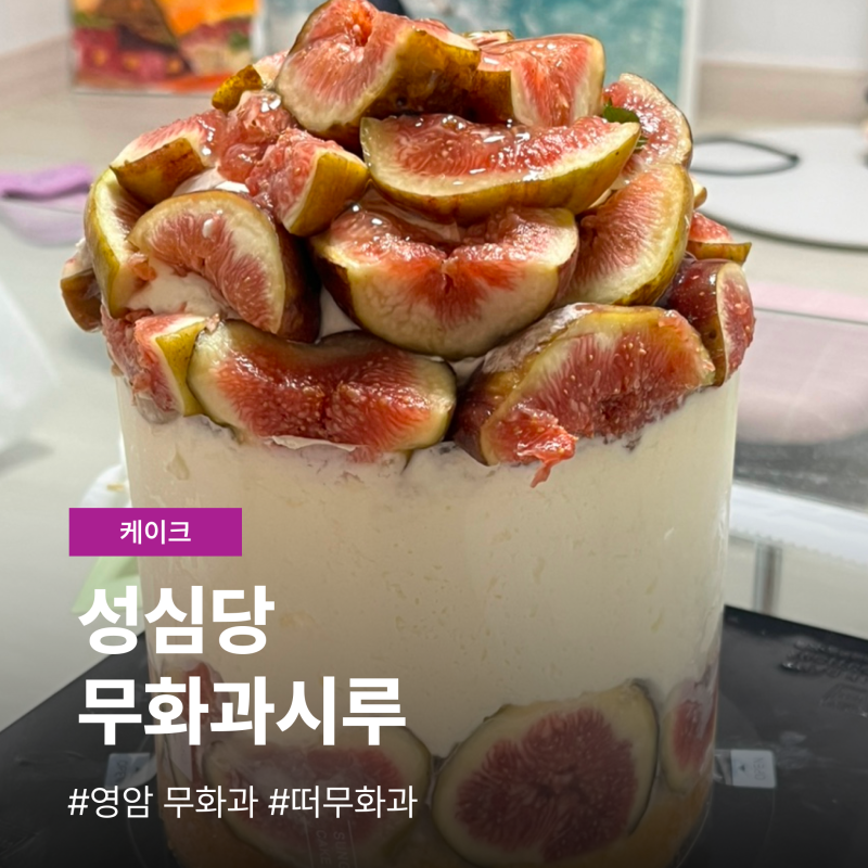 성심당 무화과시루 케이크 떠무화과 기간 가격 솔직후기
