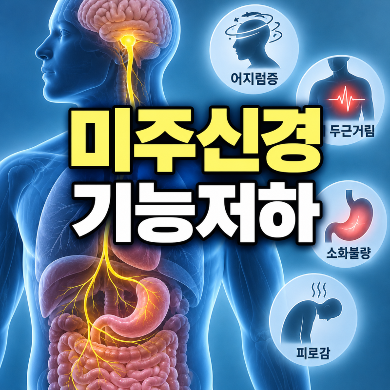 이상순 미주신경 기능저하? 뜻과 원인, 검사 및 치료