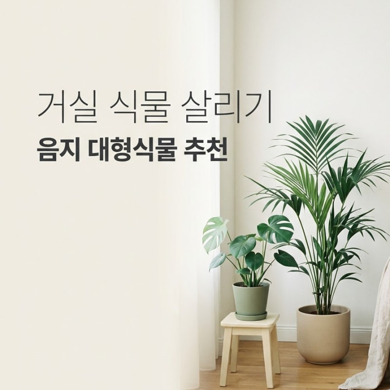 "버리려다 살렸어요!" 죽어가는 거실 구석 살리기와 햇빛 부족해도 잘 자라는 대형 공기정화....