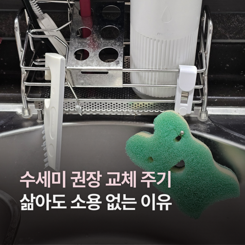 수세미 교체 주기 어떻게 될까? 삶아도 소용없는 이유 관리법