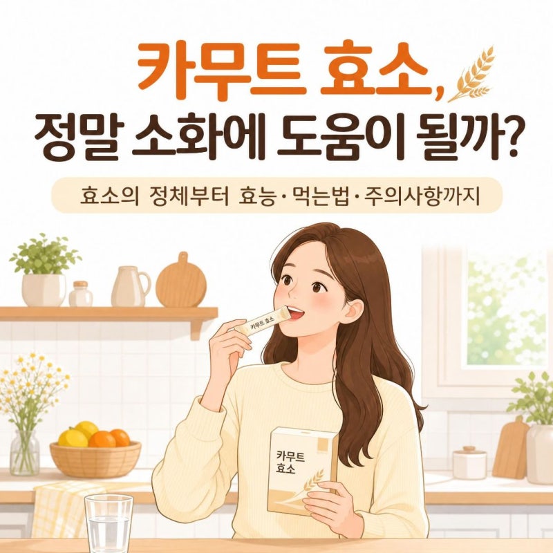 카무트 효소, 정말 소화에 도움이 될까?｜효소의 정체부터 효능·먹는법·주의사항까지