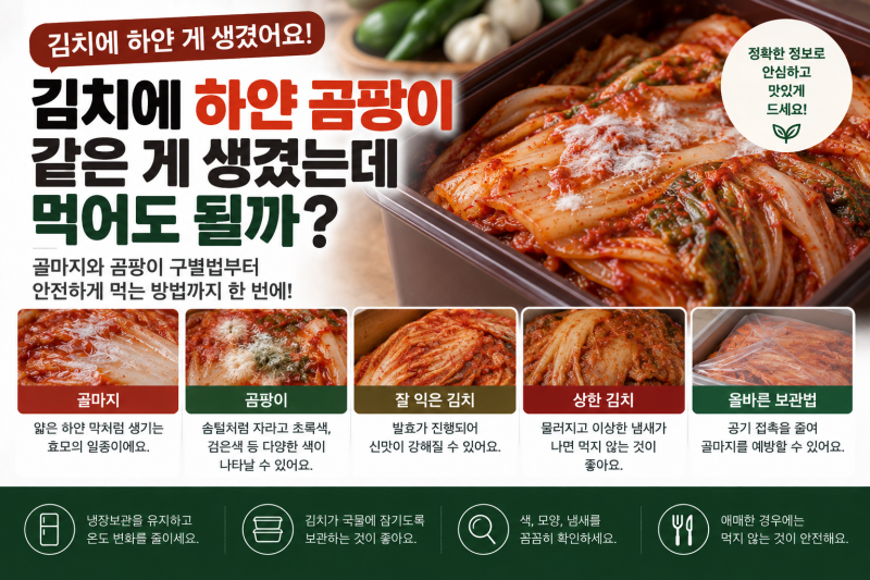 김치에 하얀 곰팡이 같은 게 생겼는데 먹어도 될까? 골마지와 곰팡이 구별법