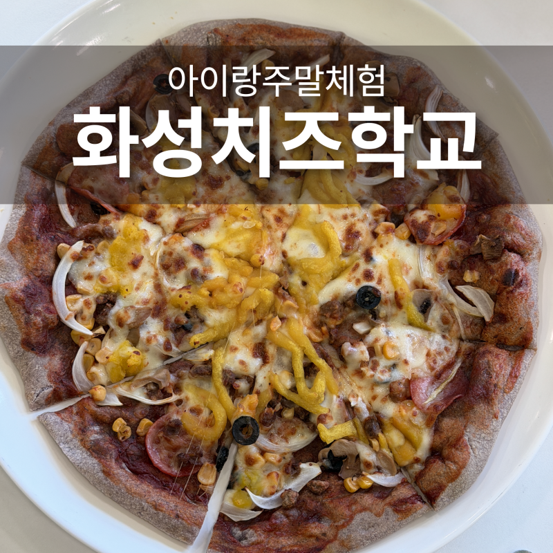 경기도 화성 주말 아이와 실내 체험 화성치즈학교 3인 가족 후기
