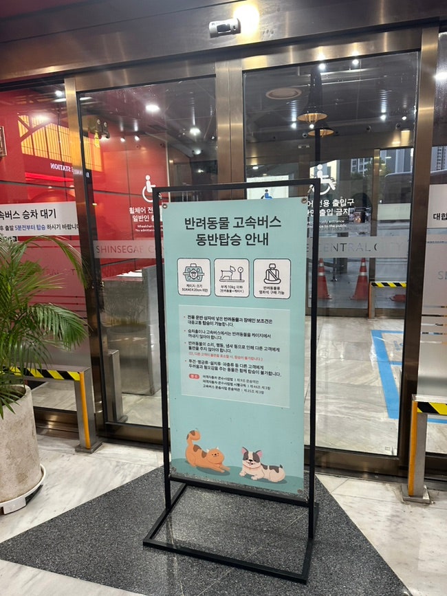 댕냥이랑 고속버스 탈 때 필수 체크! 반려동물 고속버스 동반탑승 규정 총정리 ✨