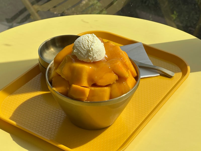 제주 망고빙수 맛집 추천｜제주망고당 애플망고빙수 디저트 후기 찐이다 찐