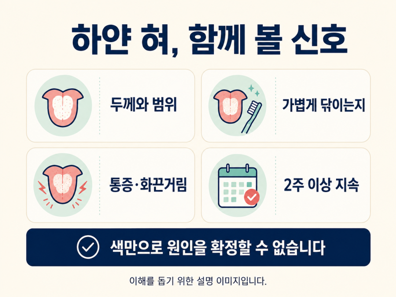 혀가 하얗게 보일 때 설태의 원인과 올바른 관리법