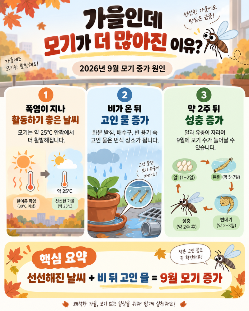 가을인데 모기가 더 많아진 이유? 2026년 9월 모기 퇴치 방법 총정리