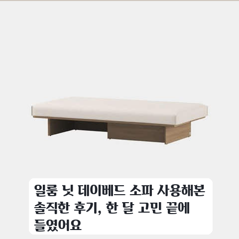 원룸에 배치한 일룸 닛 데이베드 소파 1인용 2주 동안 써본 장단점