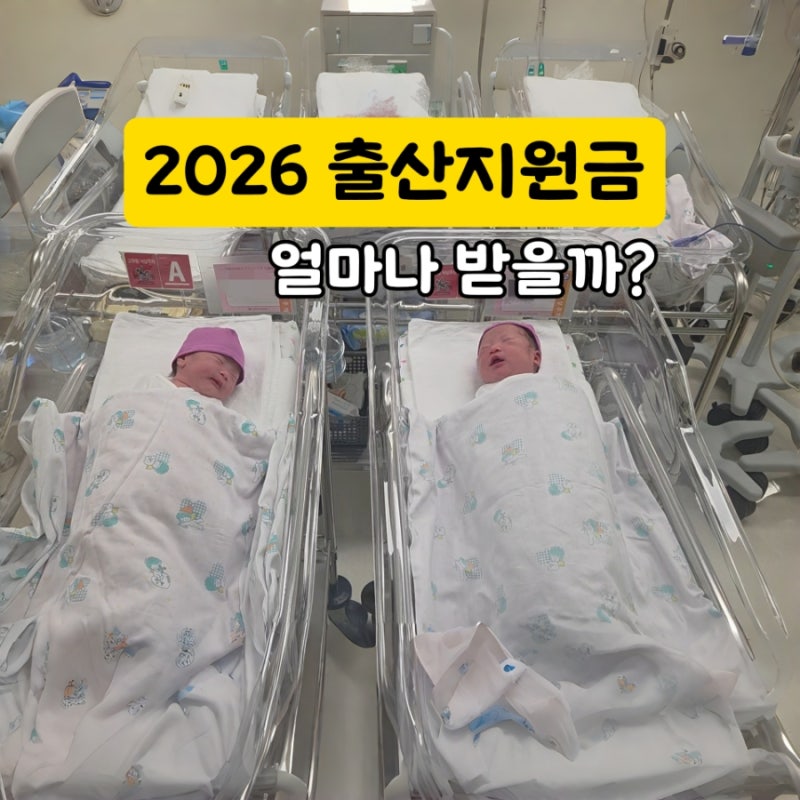 2026 출산지원금 총정리, 고양시 출산혜택부터 첫만남이용권 부모급여까지