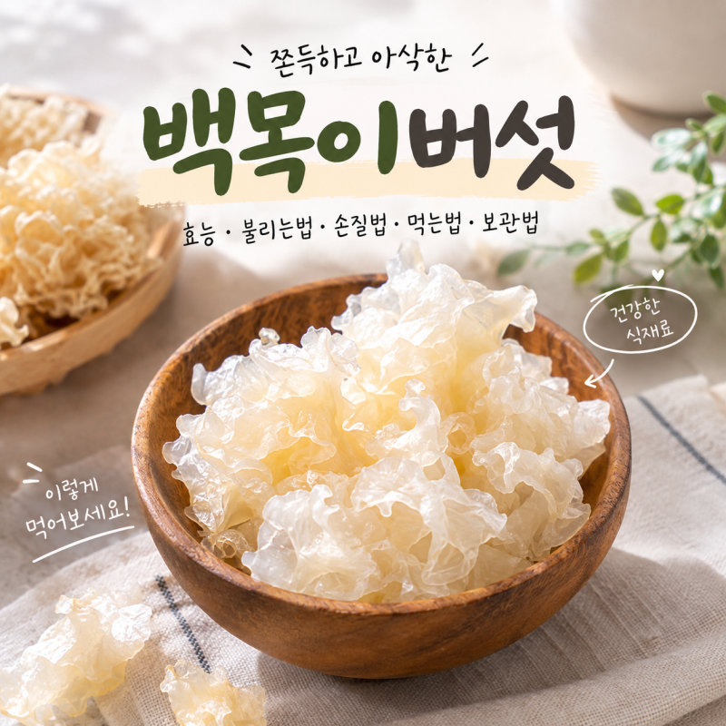 백목이버섯 효능부터 불리는법·손질법·먹는법·보관법까지