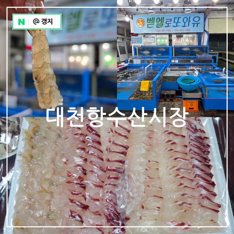 대천항 수산시장 보령 대천 가볼만한곳 대하 회포장 시세