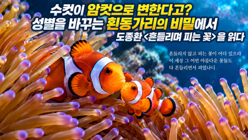 수컷이 암컷으로 변한다고? 성별을 바꾸는 흰동가리의 비밀에서 도종환 ....