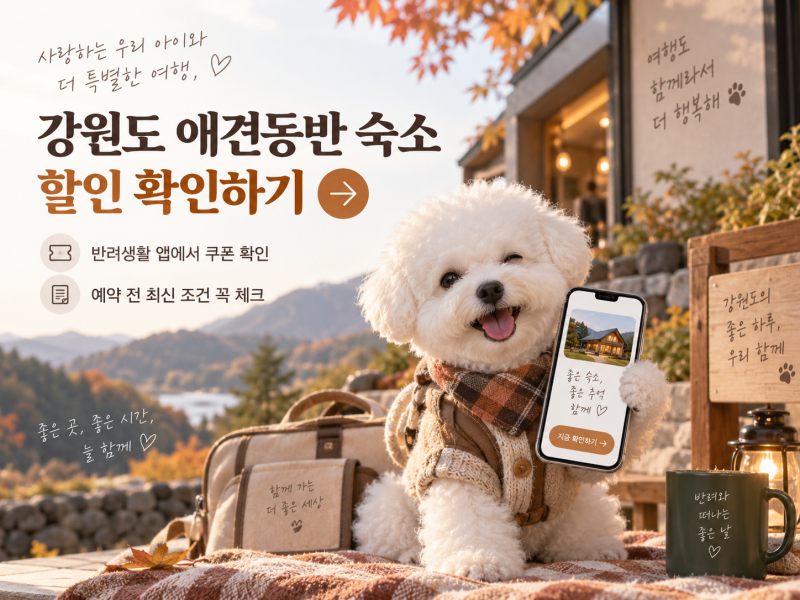 이번 주말 강아지랑 어디갈까? 강원도 애견동반 숙소 5만원 할인