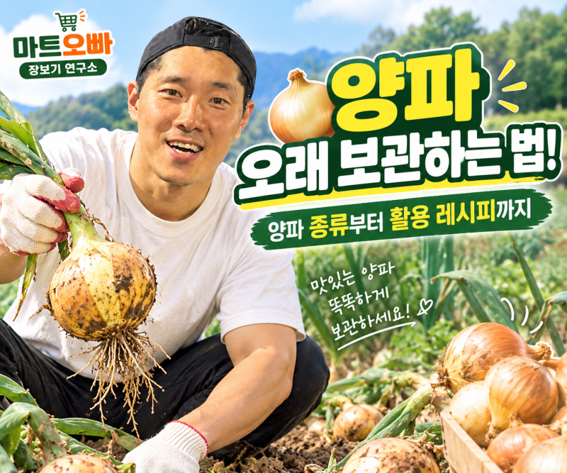 양파 오래 보관하는 법｜양파 한 망 사놓고 물러지는 이유와 보관방법