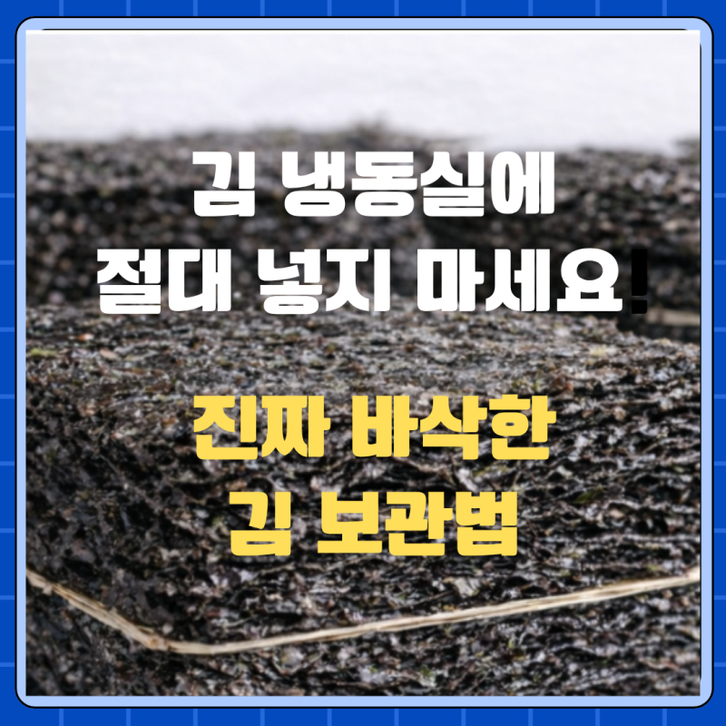 김 보관방법 총정리, 구운김 냉동실 보관이 눅눅함 부르는 이유와 실리카겔 재생법